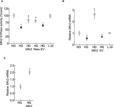 Impaired mitochondrial dynamics and removal of the damaged mitochondria in diabetic retinopathy